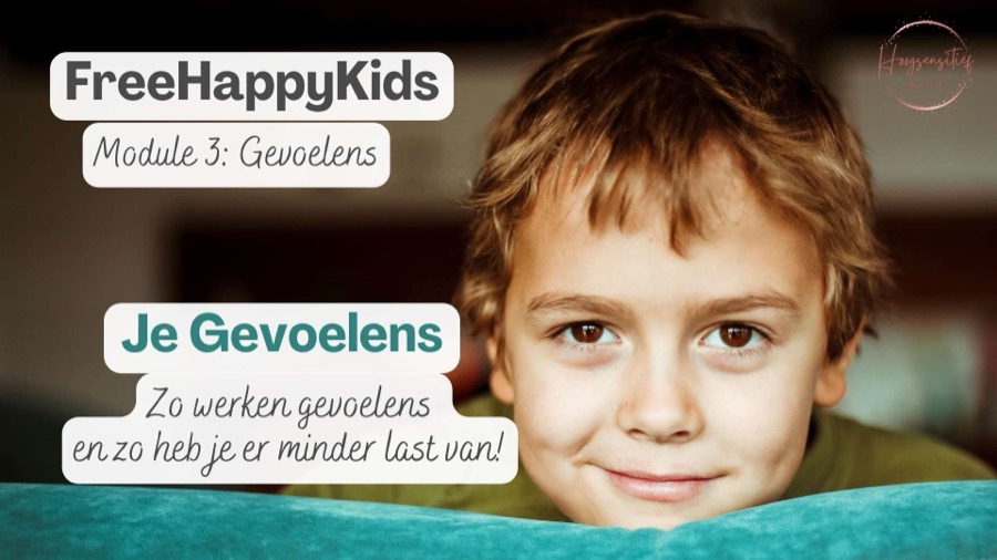 Module 3: Je Gevoelens. Zo werken gevoelens en zo heb je er minder last van