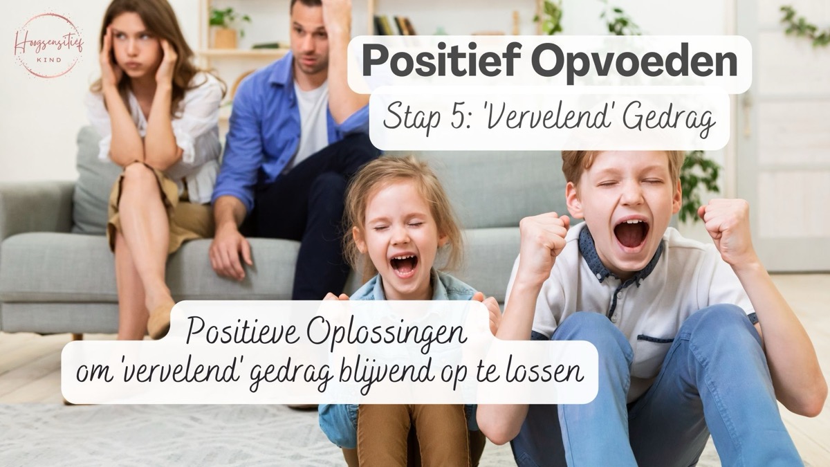 Positief Opvoeden stap 5, 'Vervelend' Gedrag: positieve oplossingen om 'vervelend' gedrag blijvend op te lossen